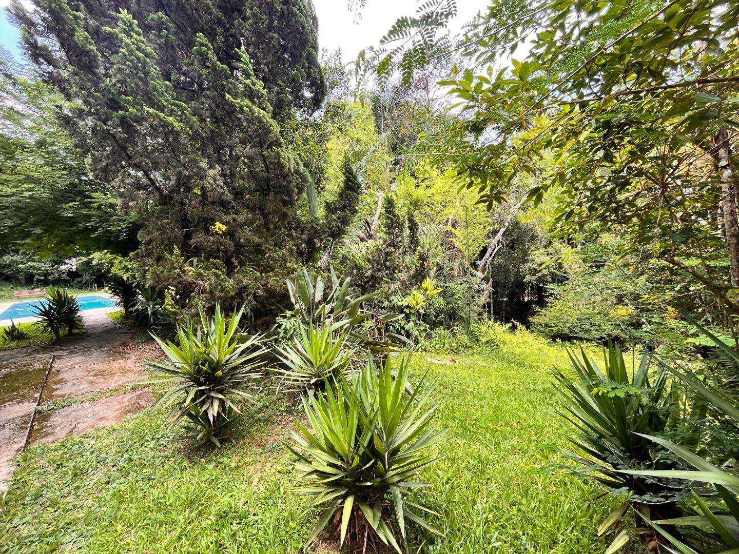 Sítio, 3 quartos, 5075 m² - Foto 10