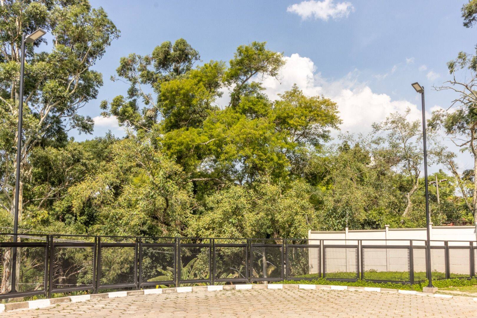 Casa, 4 quartos, 214 m² - Foto 67