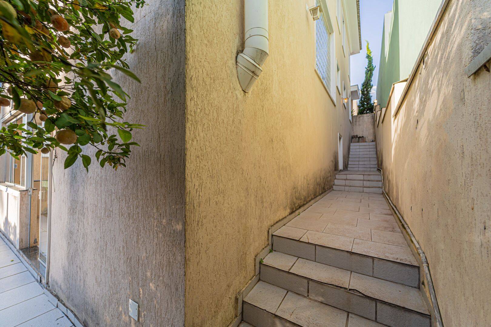 Casa, 3 quartos, 262 m² - Foto 46
