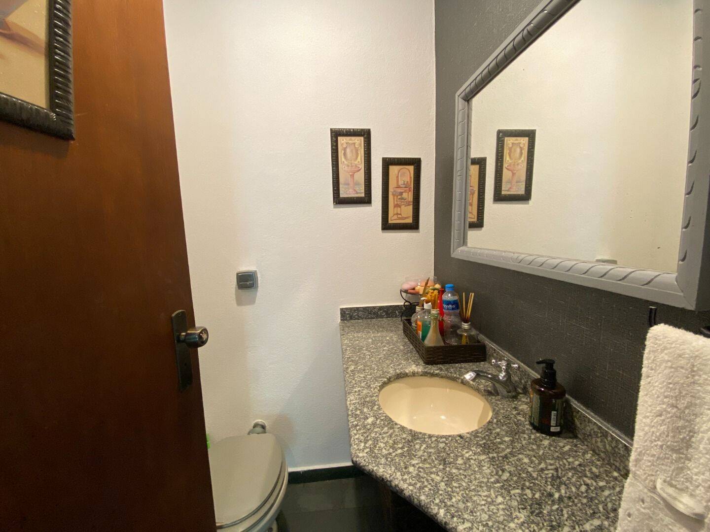 Casa, 4 quartos, 309 m² - Foto 15