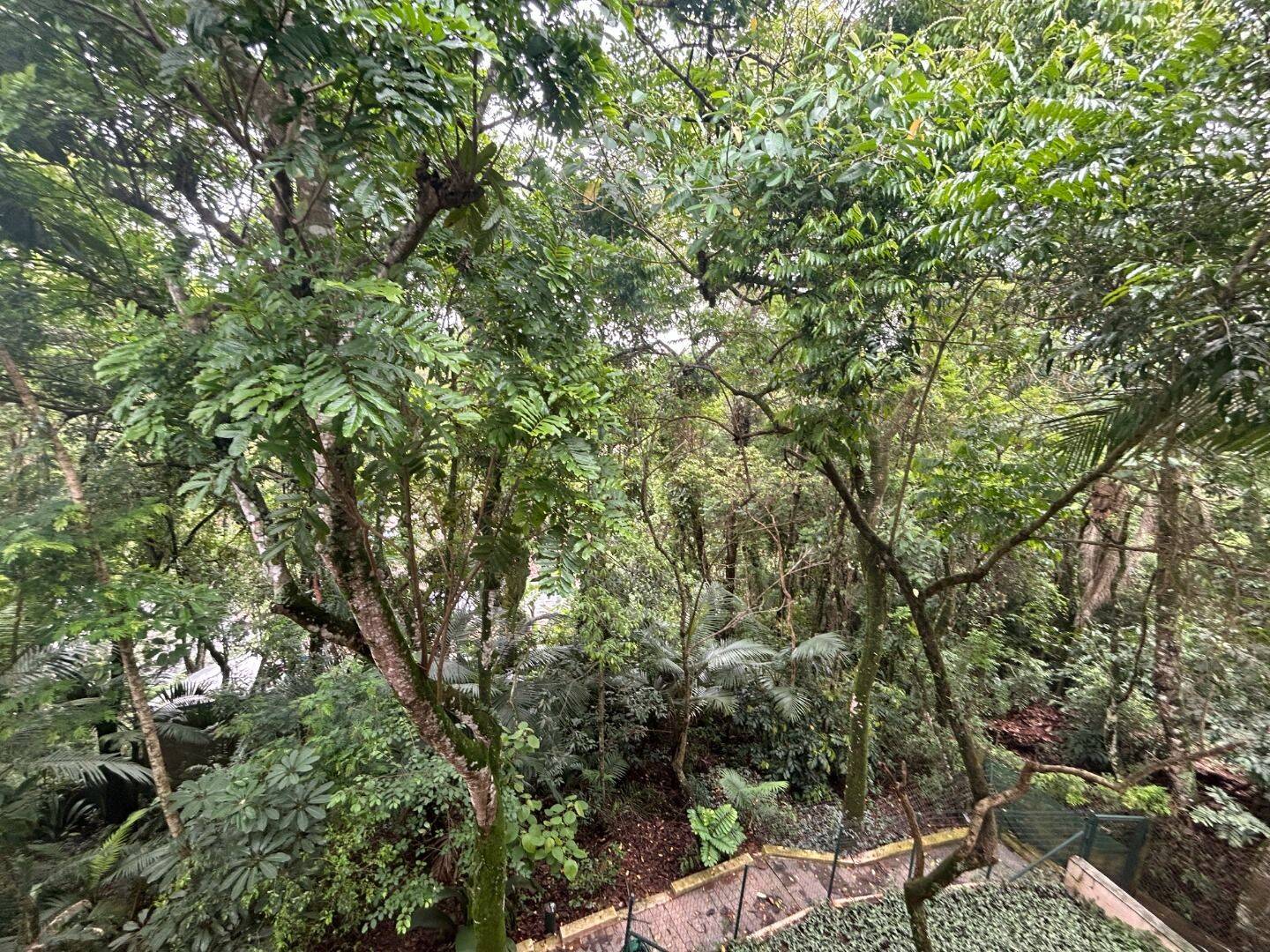 Casa, 4 quartos, 400 m² - Foto 30
