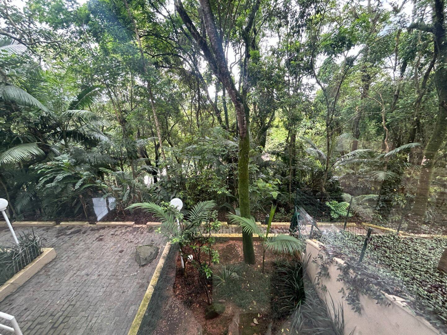 Casa, 4 quartos, 400 m² - Foto 51