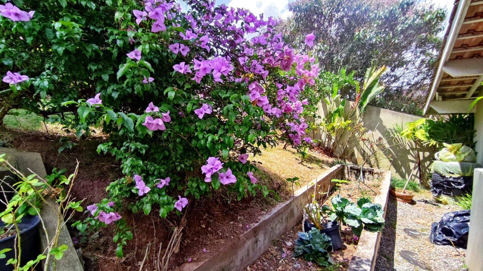 Casa, 4 quartos, 230 m² - Foto 10