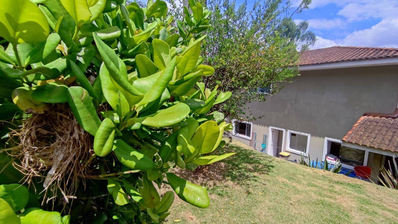 Casa, 4 quartos, 230 m² - Foto 18