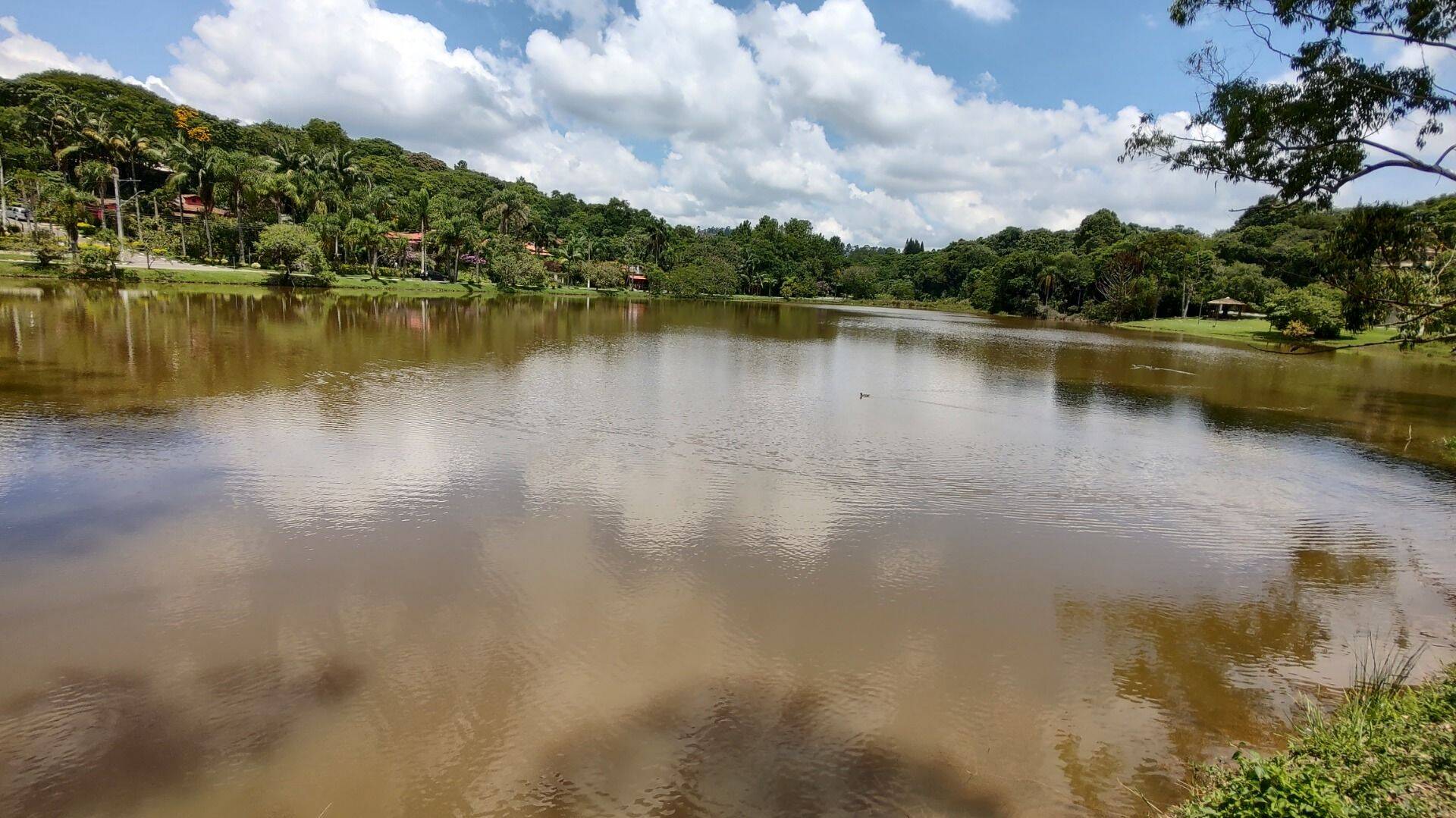 Casa, 3 quartos, 800 m² - Foto 43