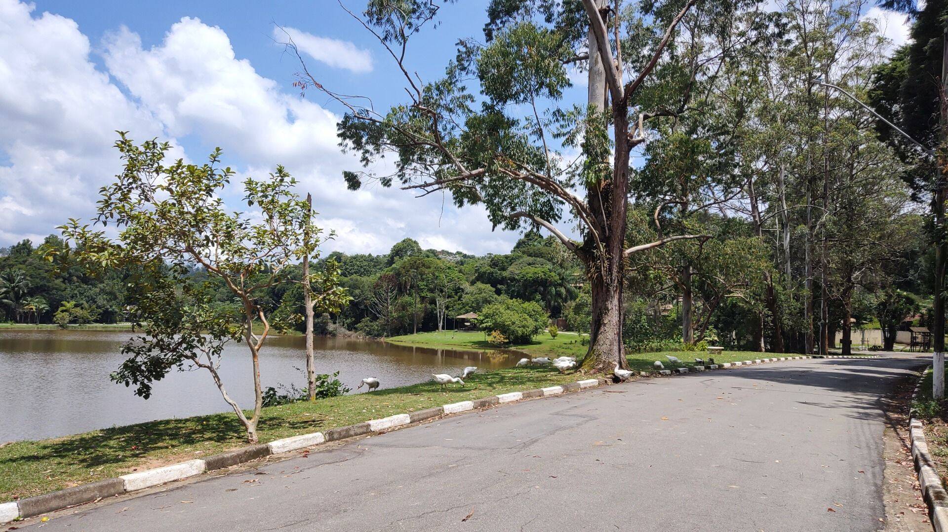 Casa, 3 quartos, 800 m² - Foto 44