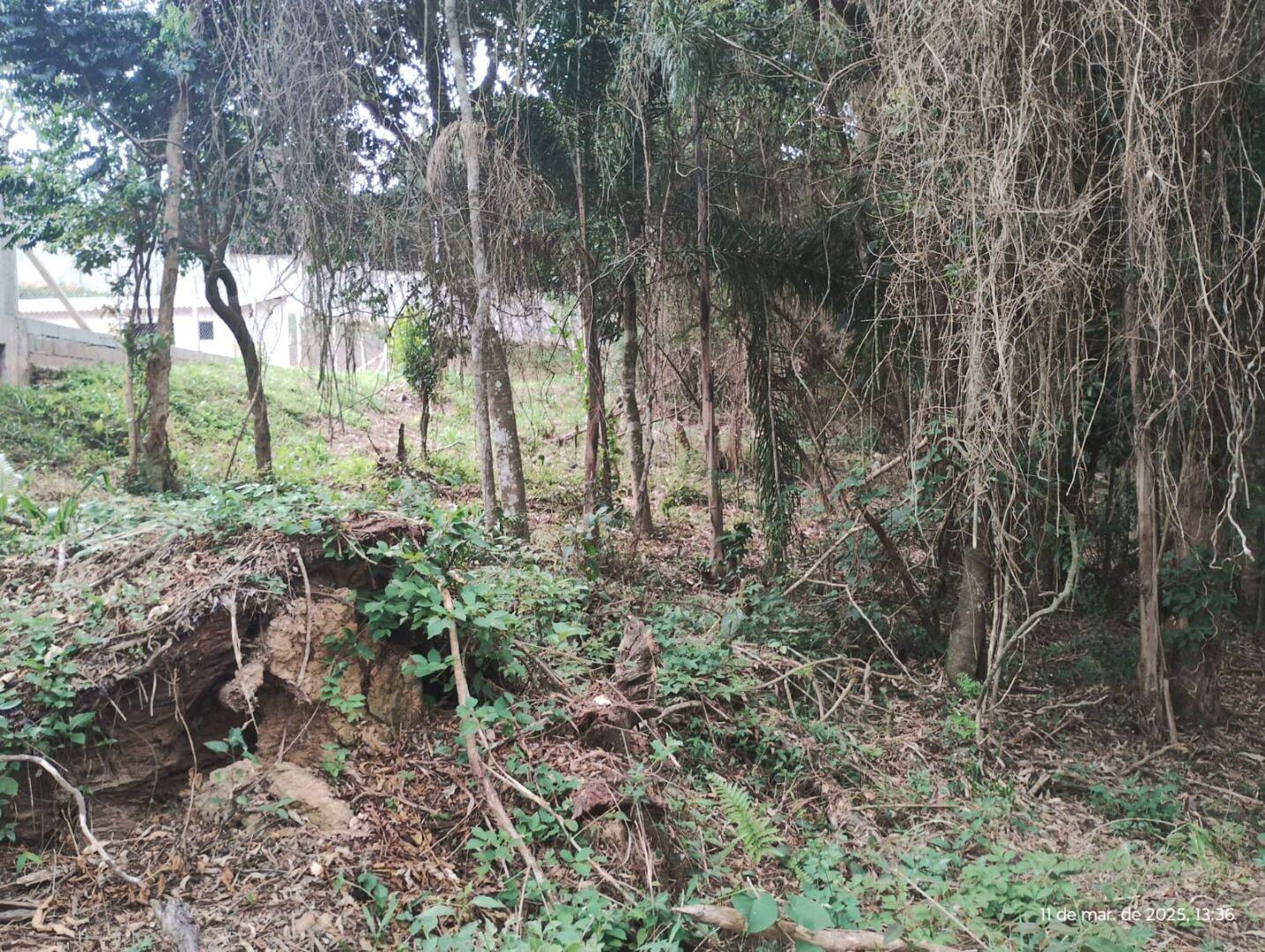 Terreno, 1210 m² - Foto 7