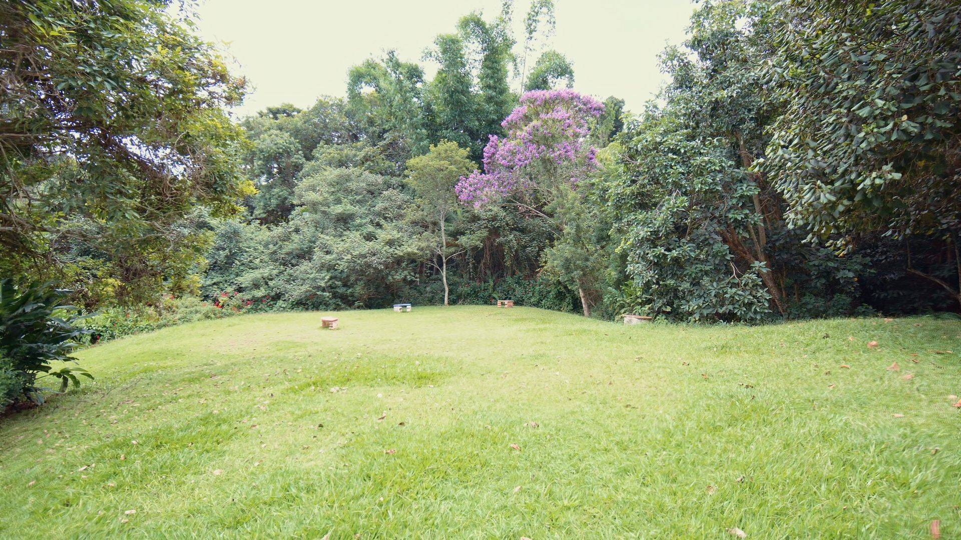 Terreno, 800 m² - Foto 1