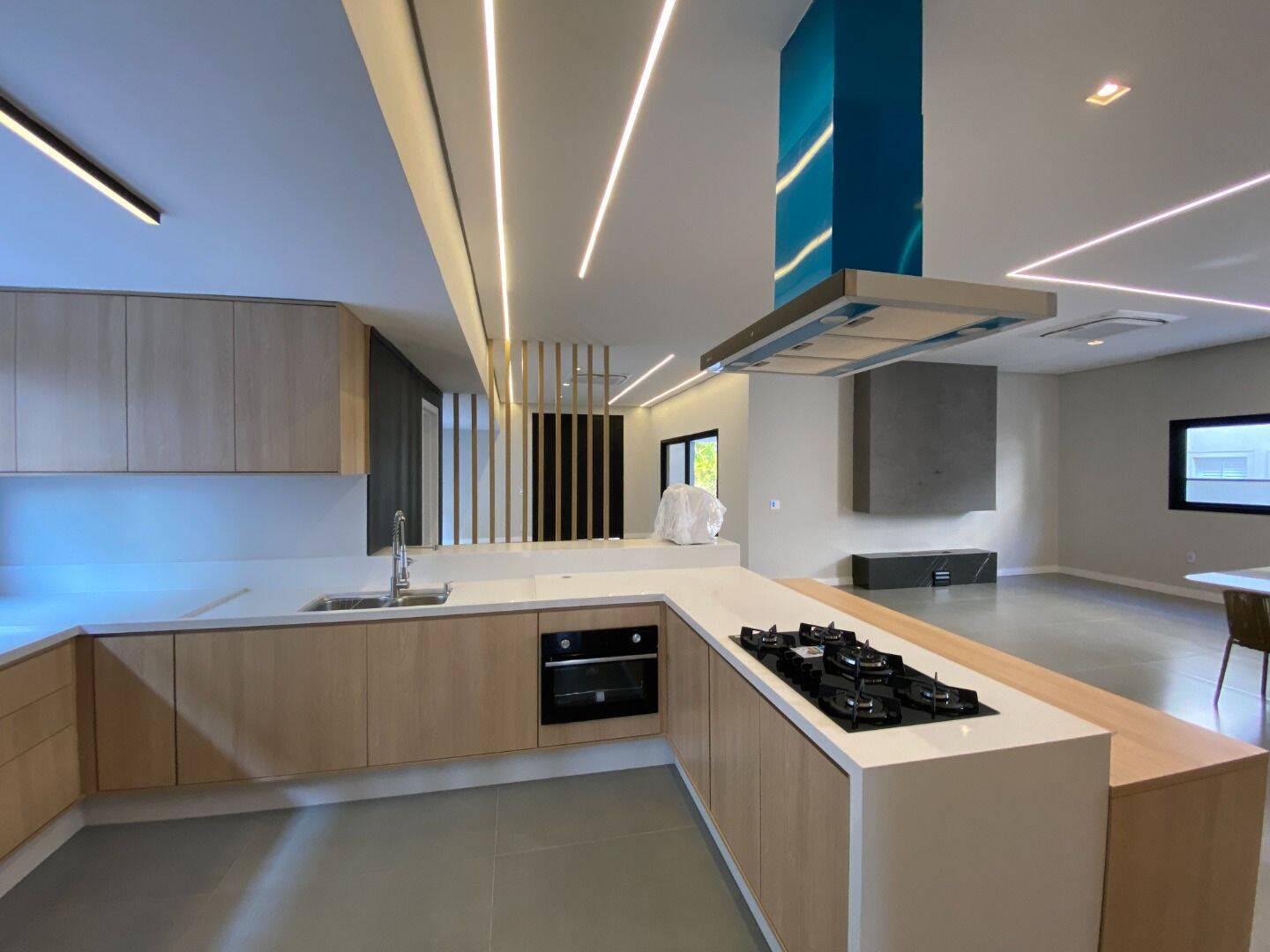 Casa, 5 quartos, 542 m² - Foto 4