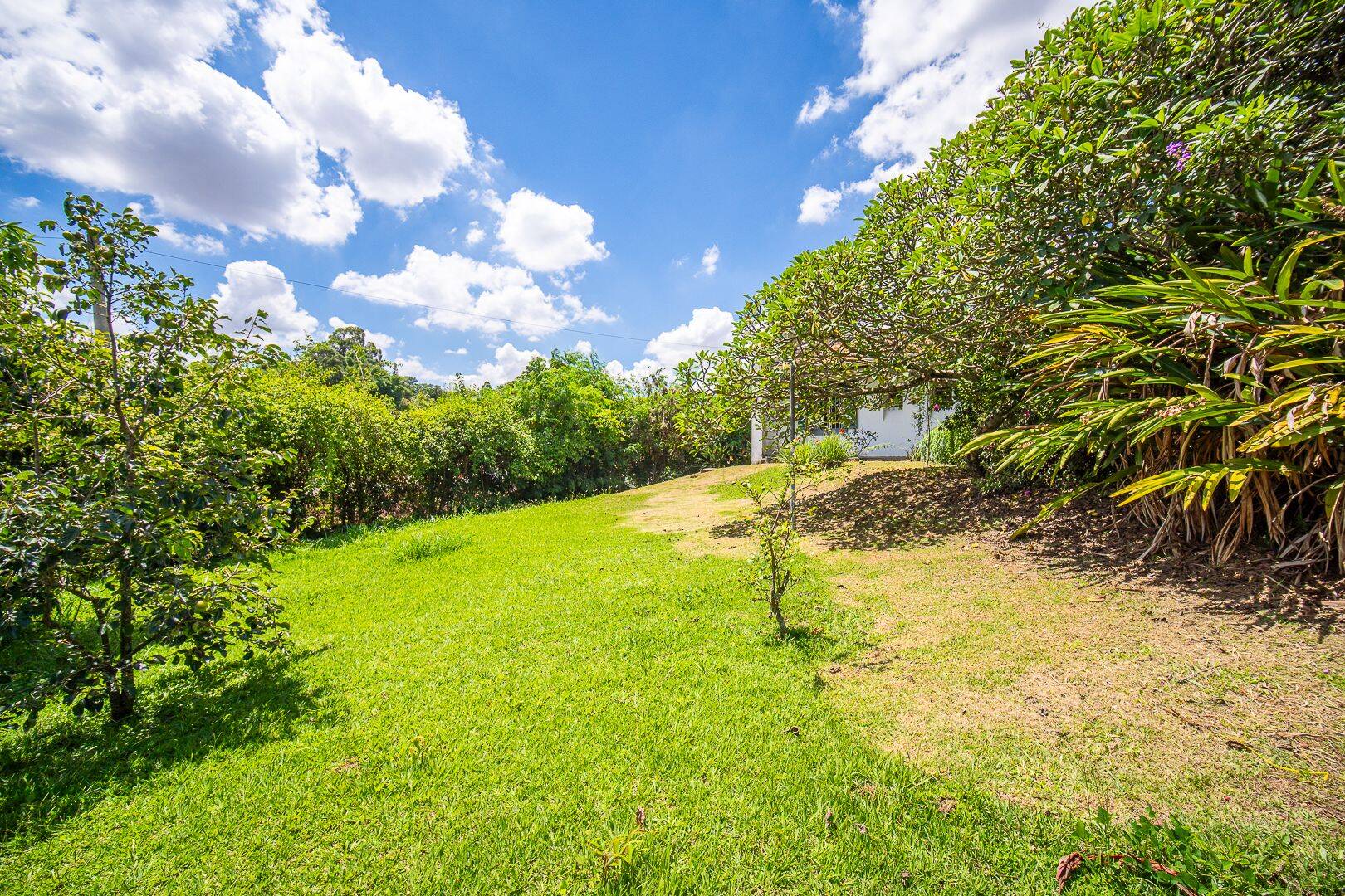 Casa, 5 quartos, 756 m² - Foto 55