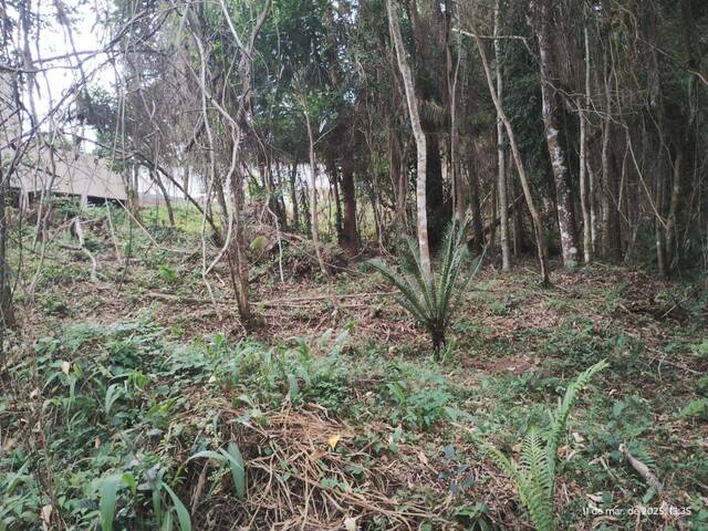 #TE0038 - Terreno para Venda em Vargem Grande Paulista - SP